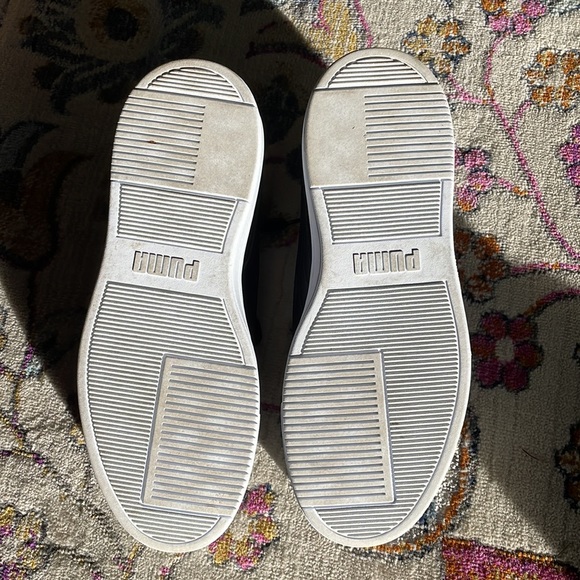 Pumas - Picture 3 of 7